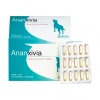 ISOVIA Ananxivia Grand Chien grande marque pas cher 5