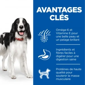 HILL’S Pet Nutrition Canine Adult Poulet Boîte pas cher en vente 7