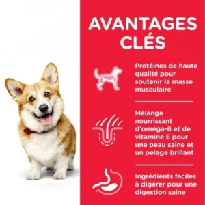 vente chaude HILL’S Pet Nutrition Canine Adult Small & Mini Poulet 7