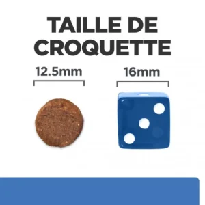 HILL’S Pet Nutrition Derm Complete Croquettes Pour Chien Livraison rapide 21