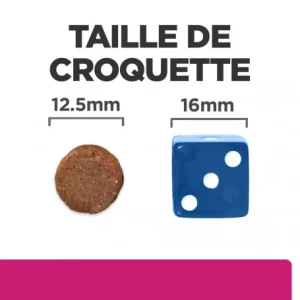 à prix imbattables HILL’S Pet Nutrition Gastrointestinal Biome Croquettes Pour Chien Au Poulet 20