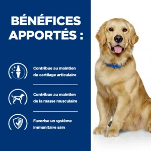 économies garanties HILL’S Pet Nutrition J/D Mobility Croquettes Pour Chien Au Poulet 17