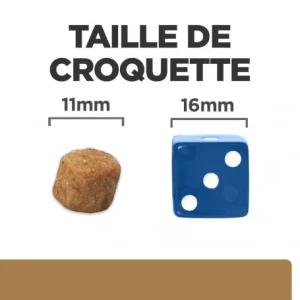 économies garanties HILL’S Pet Nutrition J/D Mobility Croquettes Pour Chien Au Poulet 21