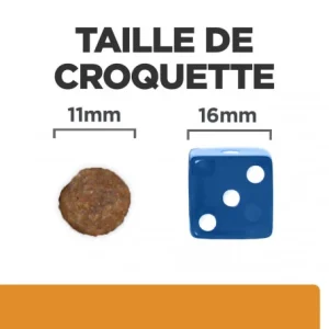 HILL’S Pet Nutrition K/D J/D Kidney+Mobility Croquettes Pour Chien site pas cher 21