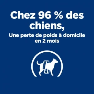 HILL’S Pet Nutrition Metabolic Croquettes Pour Chien à L’Agneau & Riz De super promotions disponibles 12