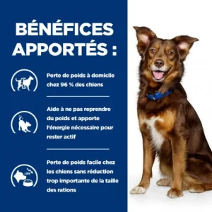 HILL’S Pet Nutrition Metabolic Croquettes Pour Chien à L’Agneau & Riz De super promotions disponibles 16