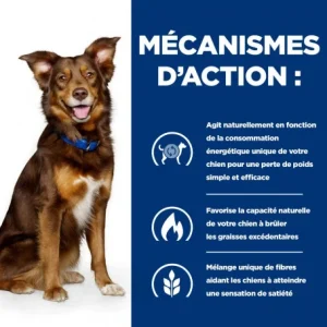 HILL’S Pet Nutrition Metabolic Croquettes Pour Chien à L’Agneau & Riz De super promotions disponibles 18