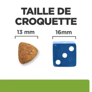 HILL’S Pet Nutrition Metabolic Croquettes Pour Chien à L’Agneau & Riz De super promotions disponibles 20