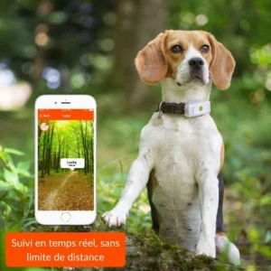 Dernières Nouveautés Materiel Collier GPS Weenect Dogs 2 Pour Chien 13