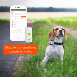 Dernières Nouveautés Materiel Collier GPS Weenect Dogs 2 Pour Chien 15