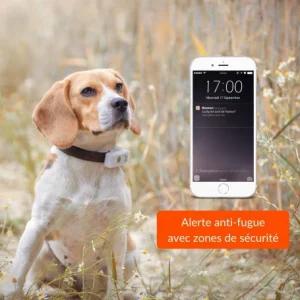 Dernières Nouveautés Materiel Collier GPS Weenect Dogs 2 Pour Chien 17