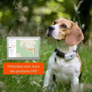 Dernières Nouveautés Materiel Collier GPS Weenect Dogs 2 Pour Chien 21