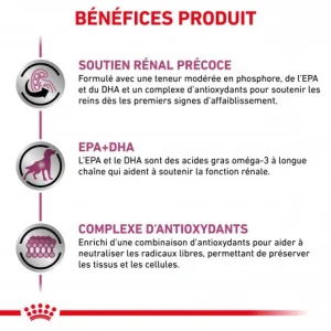 ROYAL CANIN Dog Early Renal économies garanties 17