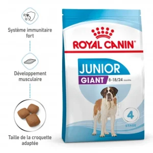 ROYAL CANIN Dog Junior Giant Prix très abordable 12