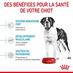 ROYAL CANIN Dog Junior Giant Prix très abordable 16