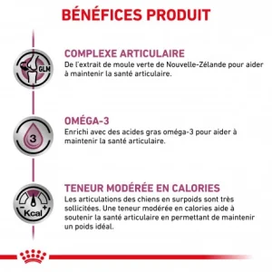 ROYAL CANIN Dog Mobility Support shopping pas cher 16