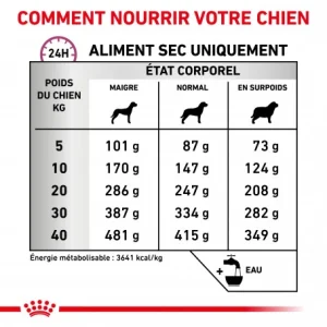 ROYAL CANIN Dog Mobility Support shopping pas cher 18