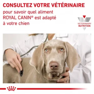 ROYAL CANIN Dog Mobility Support shopping pas cher 22