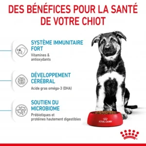 site pas cher ROYAL CANIN Dog Puppy Maxi 18