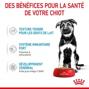 ROYAL CANIN Dog Puppy Maxi Sachet Repas remise en ligne 19