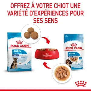 ROYAL CANIN Dog Puppy Maxi Sachet Repas remise en ligne 21