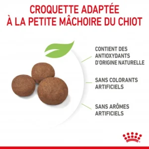 vente chaude ROYAL CANIN Dog Puppy Medium 14