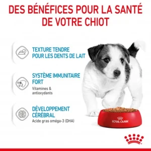 magasins pas chers ROYAL CANIN Dog Puppy Mini Sachet Repas 19