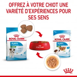 magasins pas chers ROYAL CANIN Dog Puppy Mini Sachet Repas 21