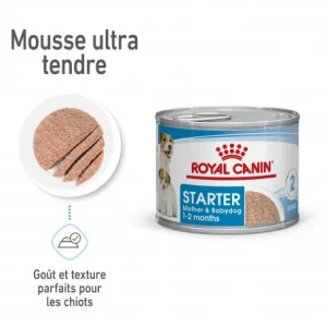 ROYAL CANIN Dog Starter Mother & Babydog Mousse Boîte vente en ligne pas cher 10