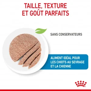 ROYAL CANIN Dog Starter Mother & Babydog Mousse Boîte vente en ligne pas cher 12