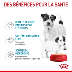 ROYAL CANIN Dog Starter Mother & Babydog Mousse Boîte vente en ligne pas cher 14