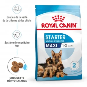 De super promotions disponibles ROYAL CANIN Dog Starter Mother & Babydog Maxi 12