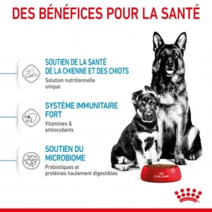 De super promotions disponibles ROYAL CANIN Dog Starter Mother & Babydog Maxi 18