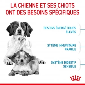 exclusivement disponibles ROYAL CANIN Dog Starter Mother & Babydog Medium 16