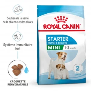 ROYAL CANIN Dog Starter Mother & Babydog Mini grossiste en ligne 12