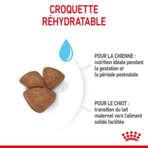 ROYAL CANIN Dog Starter Mother & Babydog Mini grossiste en ligne 14