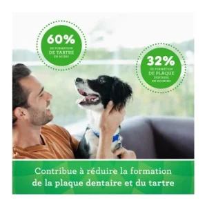 soldes pas cher Mars Friandises Greenies Teenie Pour Chien 24