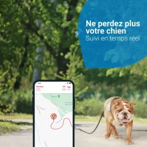 Materiel GPS Tractive Dog 4 Pour Chien Réductions 11