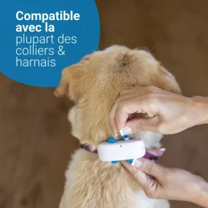 Materiel GPS Tractive Dog 4 Pour Chien Réductions 19