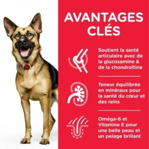 HILL’S Pet Nutrition Canine Mature Adult 6+ Large Breed Poulet magasin en ligne france 7