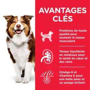 livraison la plus rapide HILL’S Pet Nutrition Canine Mature Adult 7+ Medium Poulet 7