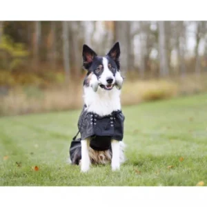 Materiel Manteau Imperméable Pour Chien Back On Track Retour Facile et Gratuit 7