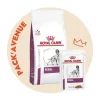 Pack’Avenue Royal Canin Dog Renal Sac 14kg Avec 12 Sachets Repas émincé beauté 25