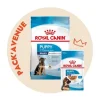 à prix promos Pack’Avenue Royal Canin DOG MAXI PUPPY 15KG 22