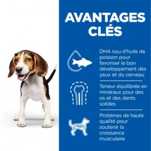 HILL’S Pet Nutrition Canine Puppy Poulet Boîte luxe soldes 7