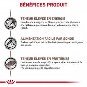 beauté ROYAL CANIN Dog/Cat Recovery Boîte 10