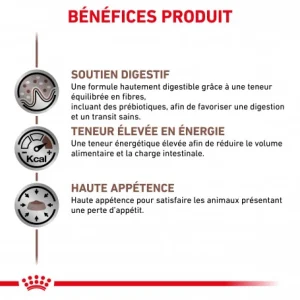 De Qualité ROYAL CANIN Dog Gastro Intestinal Boîte 11