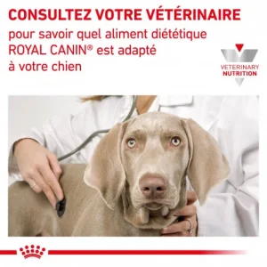 De Qualité ROYAL CANIN Dog Gastro Intestinal Boîte 15