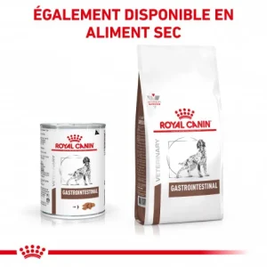 De Qualité ROYAL CANIN Dog Gastro Intestinal Boîte 21