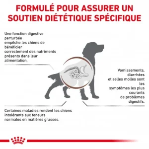 ROYAL CANIN Dog Gastro Intestinal Low Fat Boutique 13